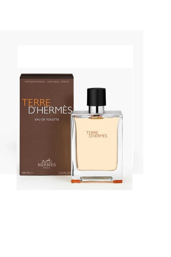 Terre D'Hermes 100 ml Edt
