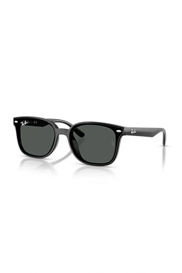 LUXOTTICA RAY-BAN  Enjeksiyon Unısex Güneş Gözlüğü  0RB4461D 601/8764 HN