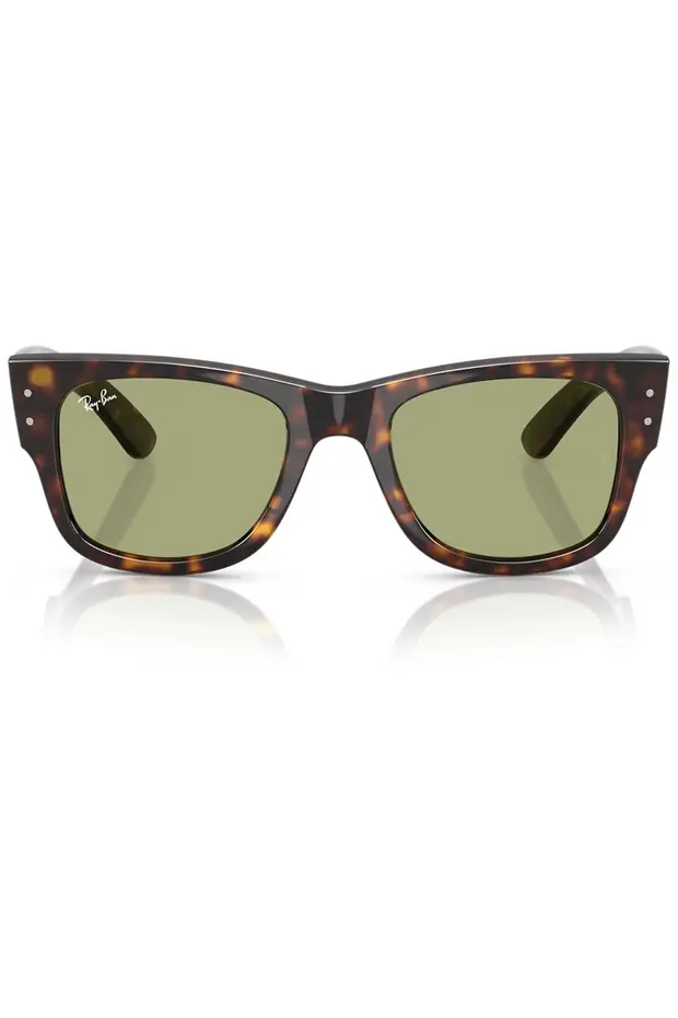 LUXOTTİCA RAY-BAN Propionat Unısex Güneş Gözlüğü 0RB0840S 902/4E51 HN