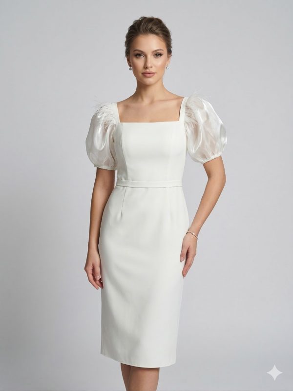 ZMS Tül Balon Kol Detaylı ELBİSE 8119