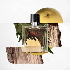 Terre d'Hermès, Eau de Toilette 100ML Erkek Parfüm  Edt - ,