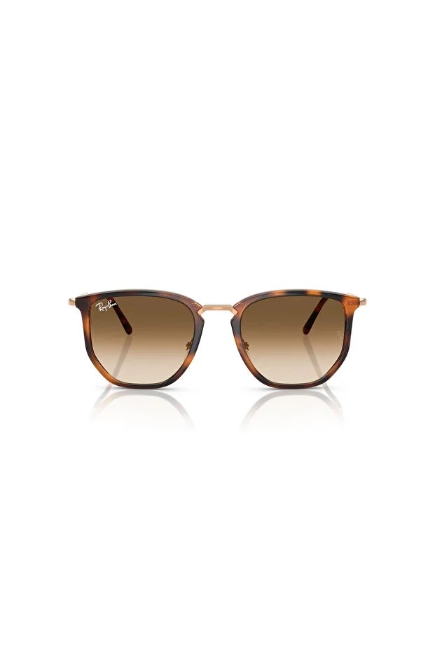 RAY-BAN  ENJEKSİYON UNISEX GÜNEŞ 0RB4451 68045153 HN - ,