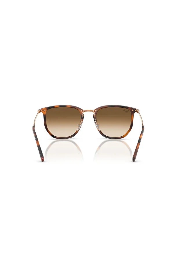 RAY-BAN  ENJEKSİYON UNISEX GÜNEŞ 0RB4451 68045153 HN - ,