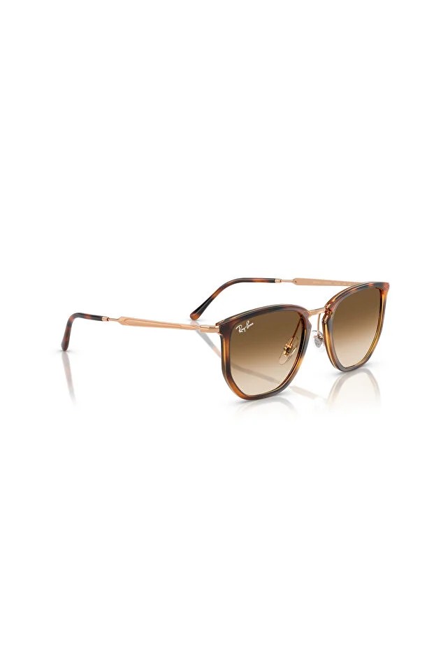 RAY-BAN  ENJEKSİYON UNISEX GÜNEŞ 0RB4451 68045153 HN