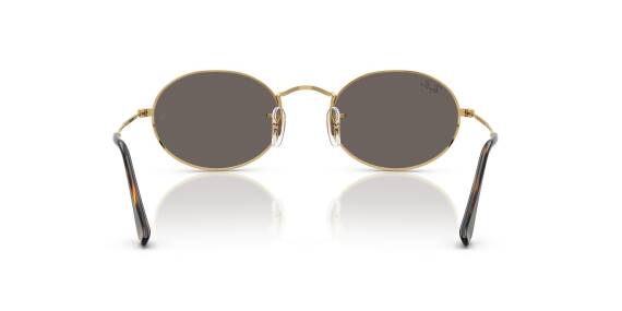 LUXOTTICA RAYBAN METAL Unisex Güneş Gözlüğü 0RB3547N 001/B151 HN - STANDART