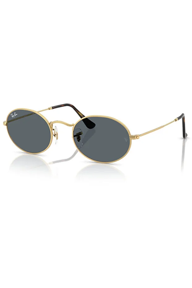 LUXOTTICA RAYBAN Metal Unısex Güneş Gözlüğü 0RB3547N 001/R551 HN - STANDART