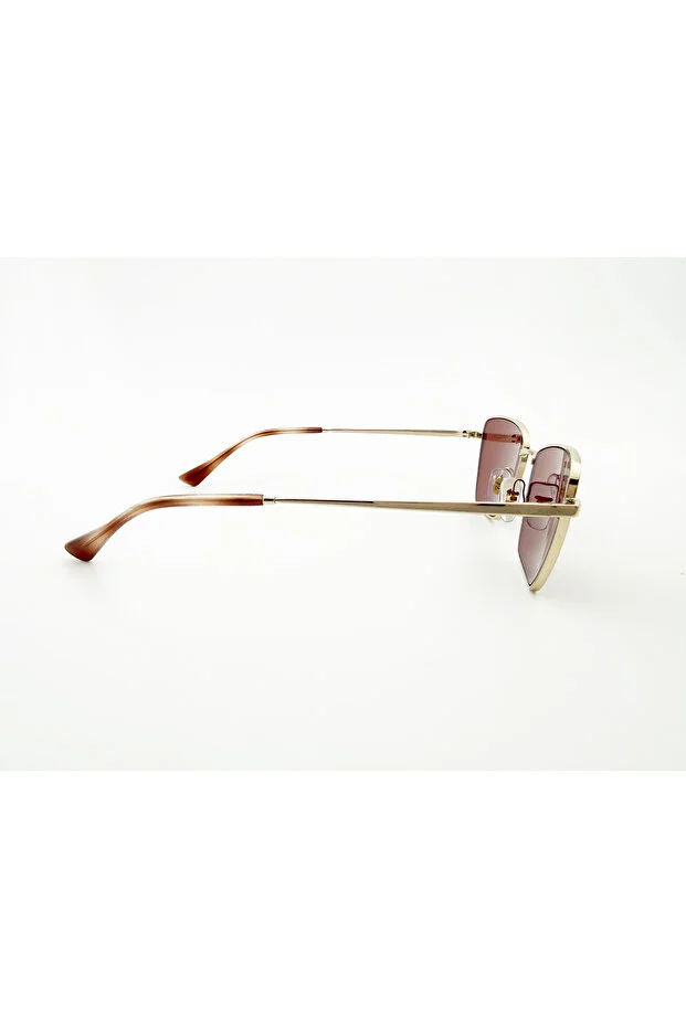 LUXOTTICA RAYBAN METAL Kadın Güneş Gözlüğü 0RB3783 92137556 HN - STANDART