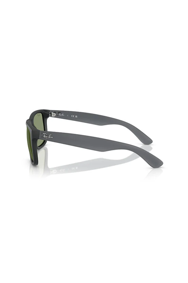 LUXOTTICA RAYBAN Nylon Erkek Güneş Gözlüğü 0RB4165 68738055 HN - STANDART
