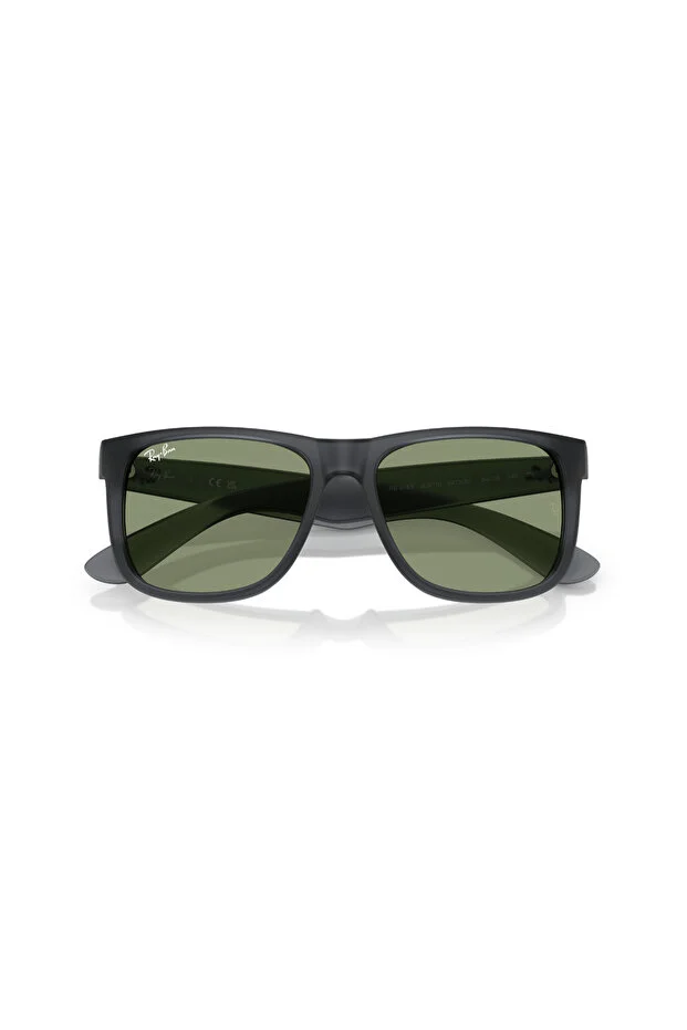 LUXOTTICA RAYBAN Nylon Erkek Güneş Gözlüğü 0RB4165 68738055 HN - STANDART