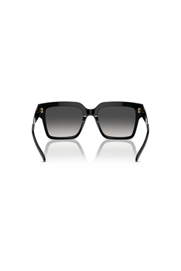 LUXOTTICA Vogue Asetat Kadın Güneş Gözlüğü  0VO5553S W44/8G54 HN - STANDART