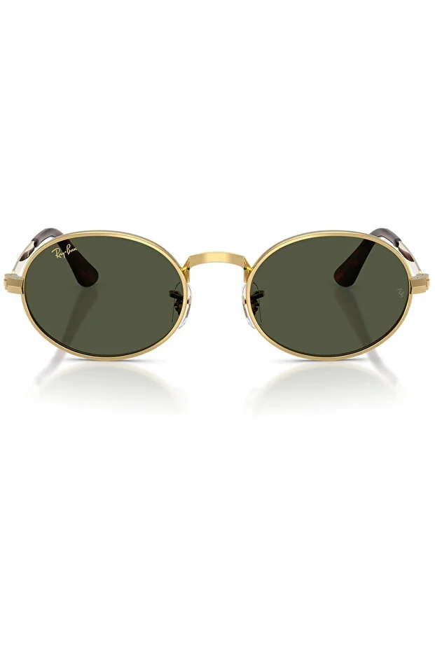 LUXOTTICA RAYBAN METAL Unisex Güneş Gözlüğü 0RB3931 001/3154 HN