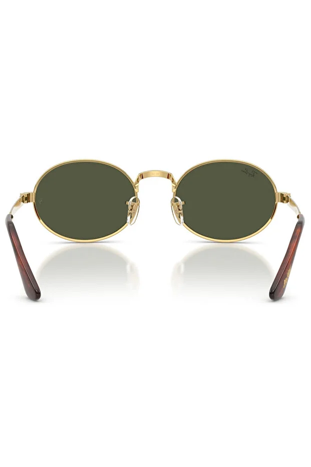 LUXOTTICA RAYBAN METAL Unisex Güneş Gözlüğü 0RB3931 001/3154 HN