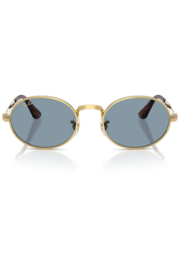 LUXOTTICA RAYBAN METAL Unisex Güneş Gözlüğü 0RB3931 001/5654 HN