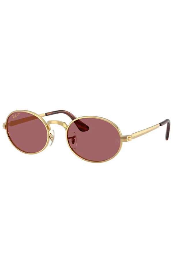 LUXOTTICA RAYBAN METAL Unisex Güneş Gözlüğü 0RB3931 001/AF54 HN