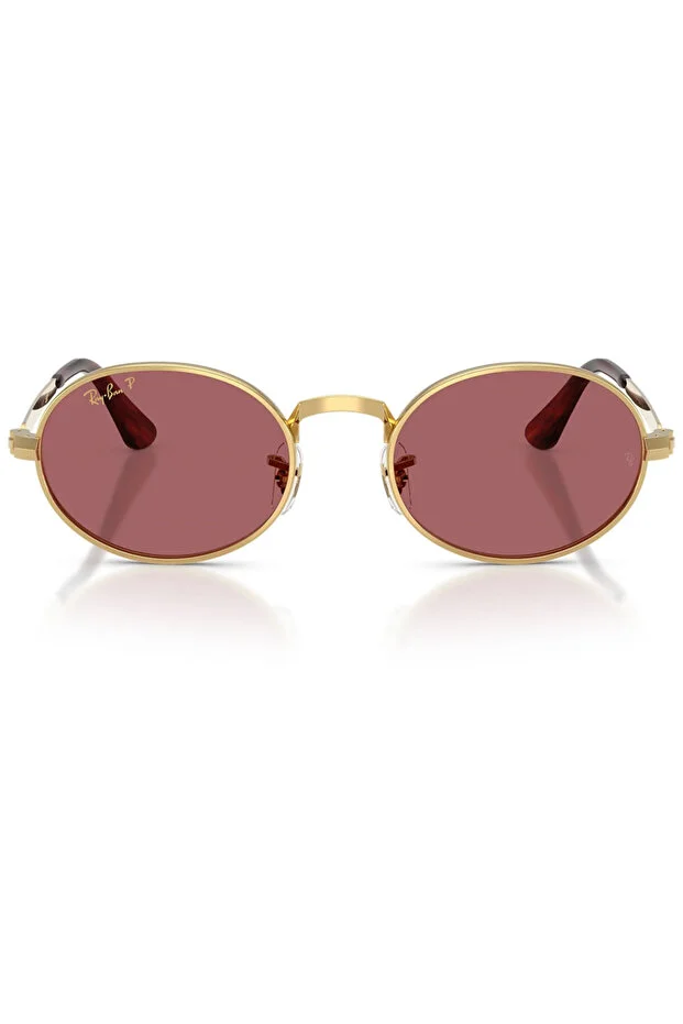 LUXOTTICA RAYBAN METAL Unisex Güneş Gözlüğü 0RB3931 001/AF54 HN