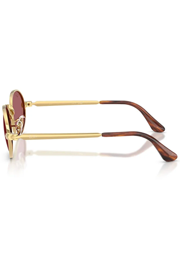 LUXOTTICA RAYBAN METAL Unisex Güneş Gözlüğü 0RB3931 001/AF54 HN