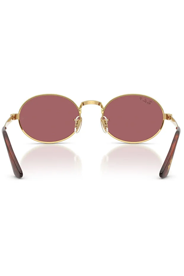LUXOTTICA RAYBAN METAL Unisex Güneş Gözlüğü 0RB3931 001/AF54 HN
