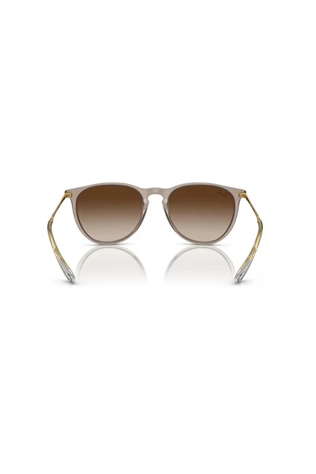 RAYBAN Unısex Güneş Gözlüğü 0RB4171 67441354 HN